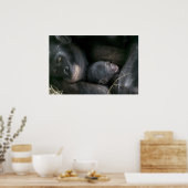 CHIMPANZEE MOEDER EN KIND POSTER (Keuken)