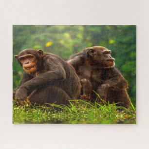 Chimpanzee Monkey. Legpuzzel