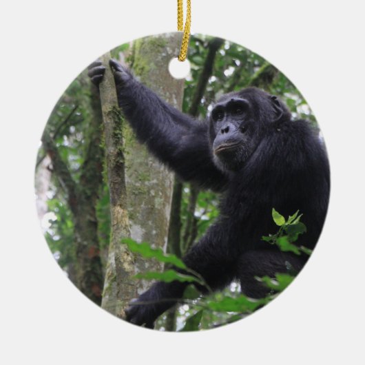 Chimpanzee Ornament (Voorkant)