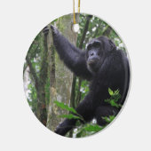 Chimpanzee Ornament (Links)