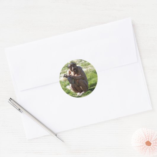 CHIMPANZEE RONDE STICKER (Envelop)