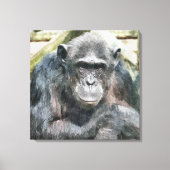 CHIMPANZES CANVAS AFDRUK (Voorkant)