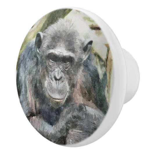 CHIMPANZES KERAMISCHE KNOP (Rechts)