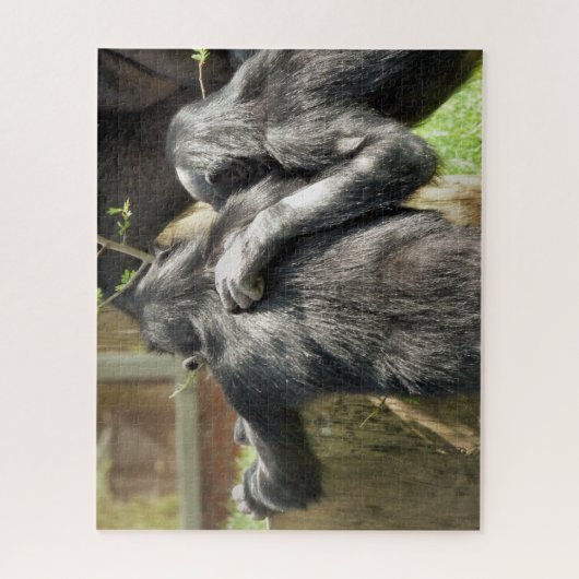 CHIMPANZES LEGPUZZEL (Verticaal)