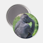 CHIMPANZES MAGNEET (Voorkant / Achterkant)