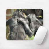 CHIMPANZES MUISMAT (Met muis)
