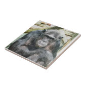 CHIMPANZES TEGELTJE (Zijkant)