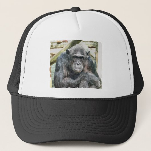 CHIMPANZES TRUCKER PET (Voorkant)