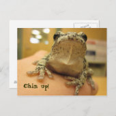 Chin omhoog! briefkaart (Voorkant / Achterkant)