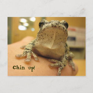 Chin omhoog! briefkaart