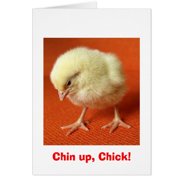 Chin omhoog, Chick! (Voorkant)