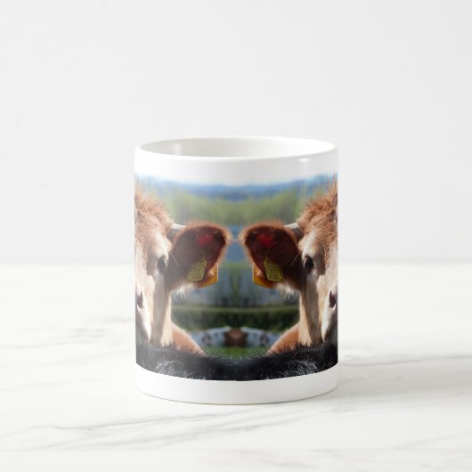 Chin, tasse de vache (Centre)