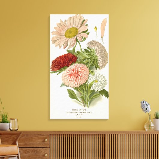 China Asters – Exquise Bloemrijke Botanische Canvas Afdruk (Insitu (Woonkamer))