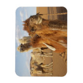 China, Binnen-Mongolië, Badain Jaran woestijn 2 Magneet (Verticaal)