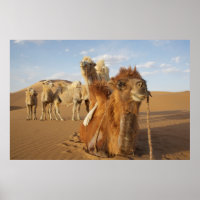 China, Binnen-Mongolië, Badain Jaran woestijn 2