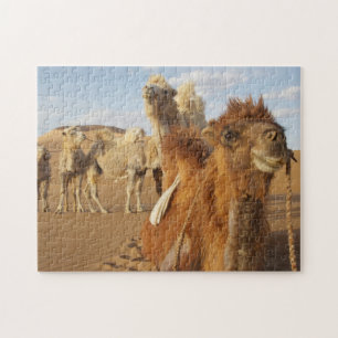 China, Binnen-Mongolië, Badain Jaranwoestijn 2 Legpuzzel