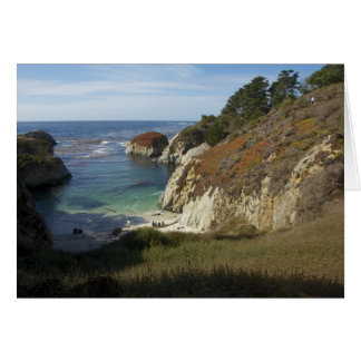 China Cove, Point Lobos Preserve