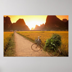China, Guangxi. Yangzhou, Fiets op het platteland Poster