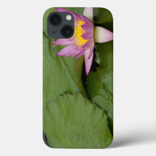 China, Hong Kong, Nieuwe Gebieden. Chi Lin iPhone 13 Hoesje