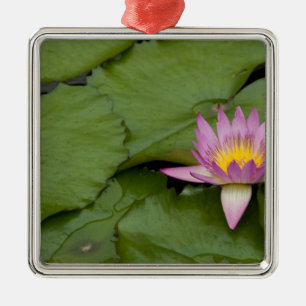 China, Hong Kong, Nieuwe Gebieden. Chi Lin Metalen Ornament