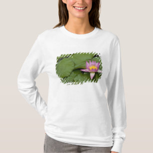 China, Hong Kong, Nieuwe Gebieden. Chi Lin T-shirt