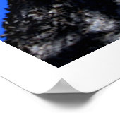 Chinaberry-boom Poster (Hoek)