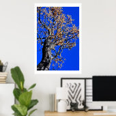 Chinaberry Tree tegen Azure Sky Poster (Thuiskantoor)
