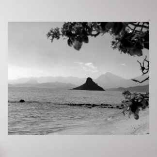 Chinamans Pet _bw Poster