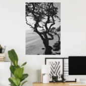 Chinamans Pet Poster (Thuiskantoor)