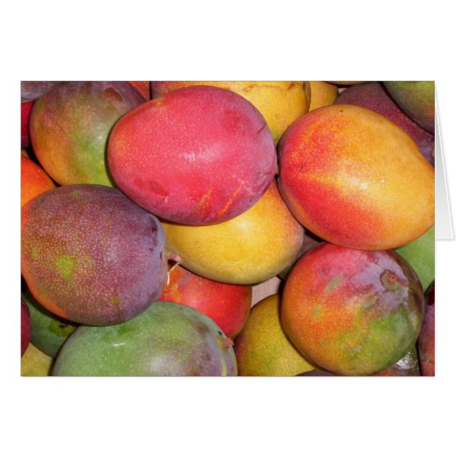Chinatown Mango (Voorkant Horizontaal)