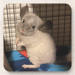 Chinchilla Bier Onderzetter