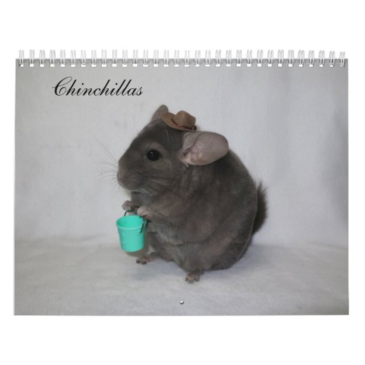 Chinchilla Calendar Kalender (Hoes)