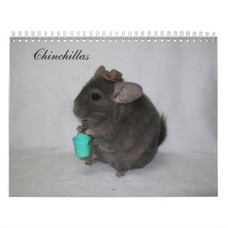 Chinchilla Calendar Kalender