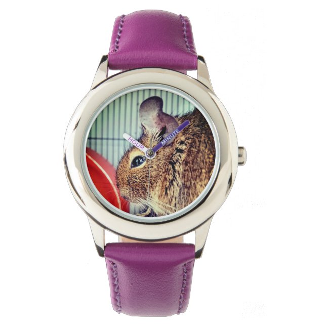 Chinchilla Horloge (Voorkant)