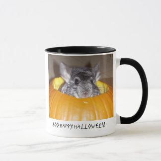 Chinchilla in pompoen, BOO. HALLOWEEN. Mok
