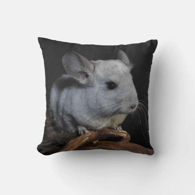Chinchilla Kussen (Voorkant)
