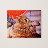 Chinchilla Legpuzzel (Horizontaal)