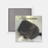 Chinchilla Love Magnet (Recto/Verso)