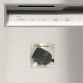 Chinchilla Love Magnet (In Situ (Lave-vaisselle))