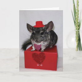 Chinchilla met rode bovenste hoed en hartkaart kaart