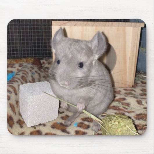 chinchilla muismat (Voorkant)