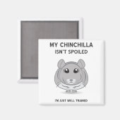 Chinchilla n'est pas un aimant gâté (Recto/Verso)