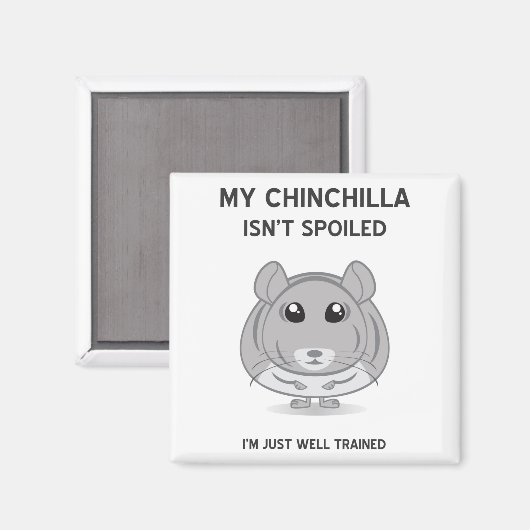 Chinchilla n'est pas un aimant gâté (Recto/Verso)