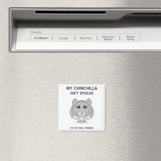 Chinchilla n'est pas un aimant gâté (In Situ (Lave-vaisselle))