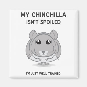 Chinchilla n'est pas un aimant gâté