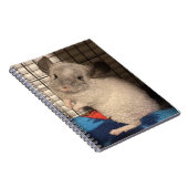 chinchilla notitieboek (Rechterzijde)