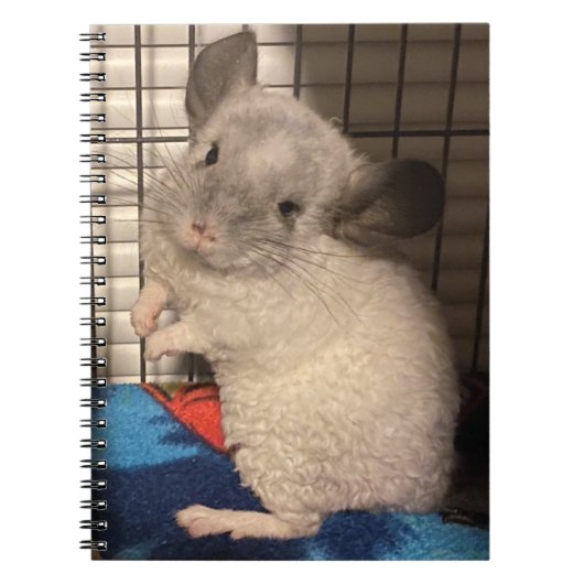 chinchilla notitieboek (Voorkant)