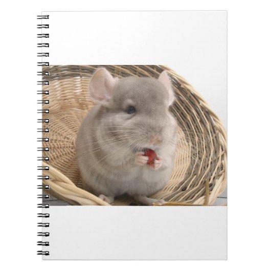 chinchilla notitieboek (Voorkant)