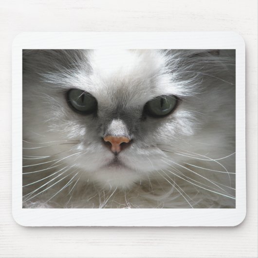 Chinchilla Persian Cat Muismat (Voorkant)