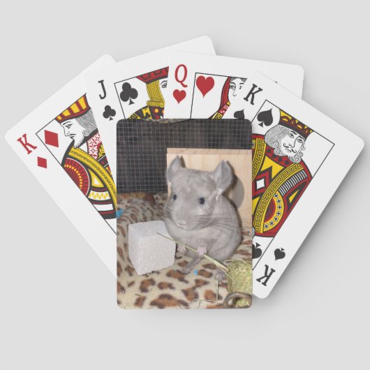 chinchilla pokerkaarten (Achterkant)